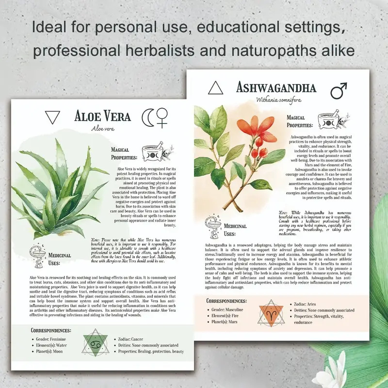 Natural Remedies Handbook with - مراجعة English Home Office وسعره
